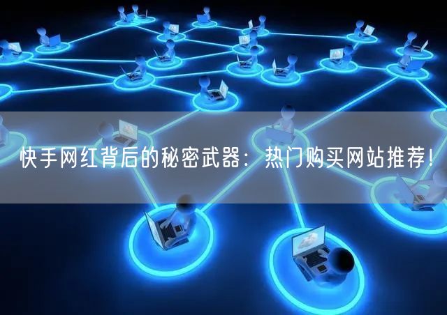 “快手网红背后的秘密武器：热门购买网站推荐