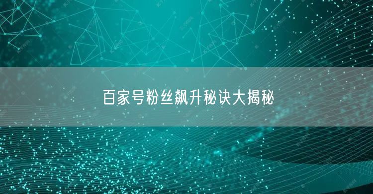 “百家号粉丝飙升秘诀大揭秘