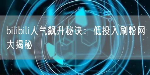 “bilibili人气飙升秘诀：低投入刷粉