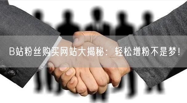 “B站粉丝购买网站大揭秘：轻松增粉不是梦！