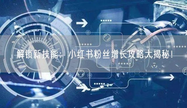 “解锁新技能：小红书粉丝增长攻略大揭秘！