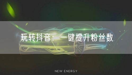 “玩转抖音：一键提升粉丝数