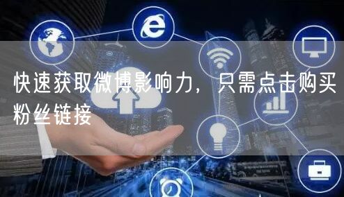 “快速获取微博影响力，只需点击购买粉丝链接