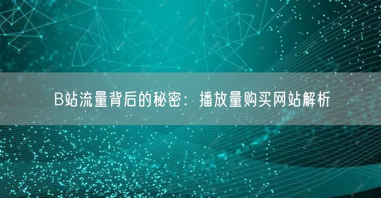 “B站流量背后的秘密：播放量购买网站解析