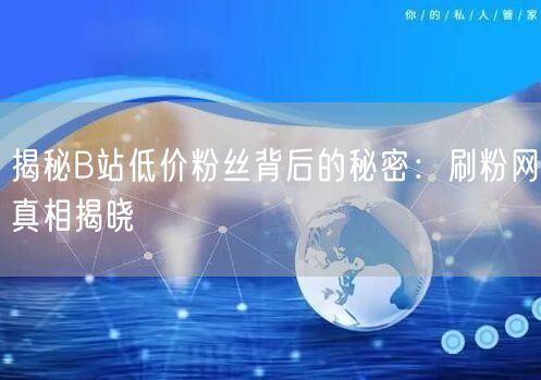 “揭秘B站低价粉丝背后的秘密：刷粉网真相揭