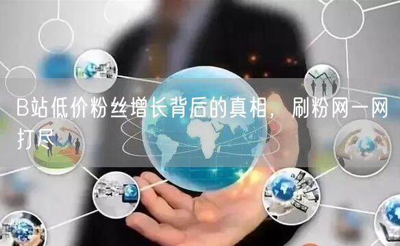 “B站低价粉丝增长背后的真相，刷粉网一网打