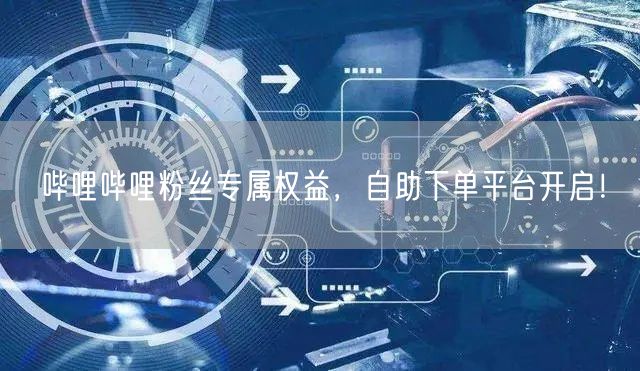 哔哩哔哩粉丝专属权益,自助下单平台开启!