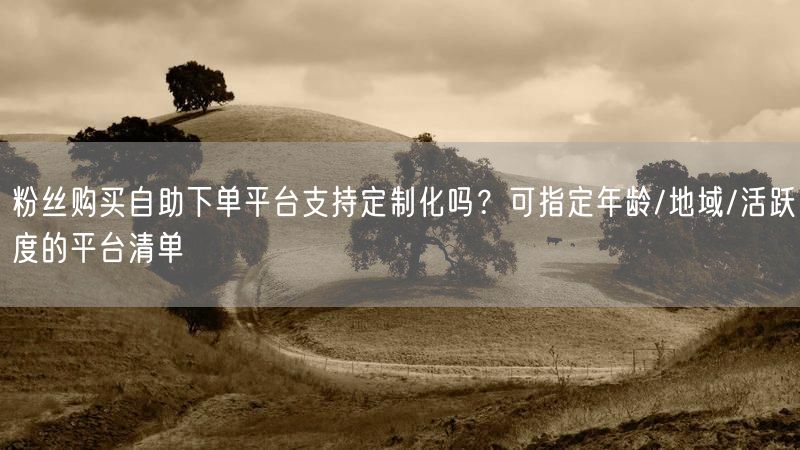粉丝购买自助下单平台支持定制化吗？可指定年龄/地域/活跃度的平台清单