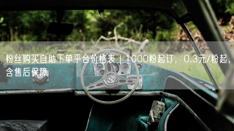 粉丝购买自助下单平台价格表｜1000粉起订，0.3元/粉起，含售后保障