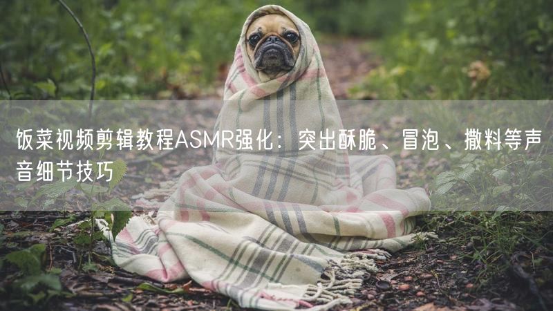 饭菜视频剪辑教程ASMR强化：突出酥脆、冒泡、撒料等声音细节技巧
