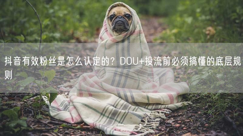 抖音有效粉丝是怎么认定的？DOU+投流前必须搞懂的底层规则