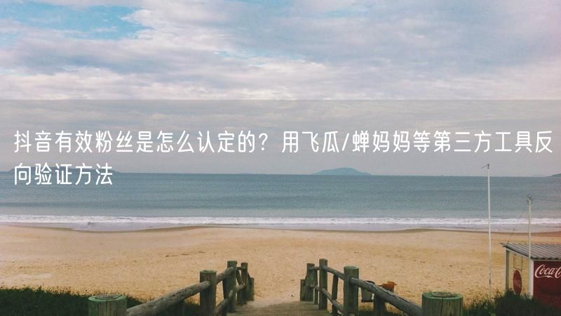 抖音有效粉丝是怎么认定的？用飞瓜/蝉妈妈等第三方工具反向验证方法