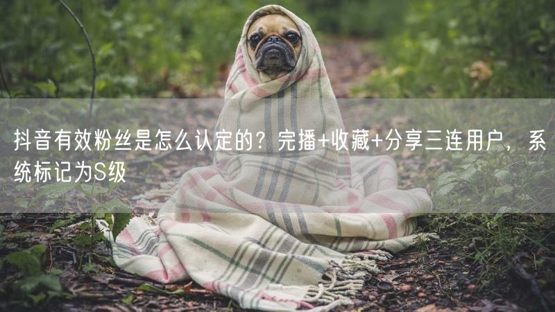 抖音有效粉丝是怎么认定的？完播+收藏+分享三连用户，系统标记为S级
