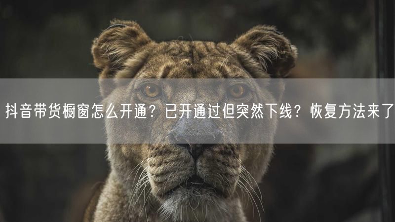 抖音带货橱窗怎么开通？已开通过但突然下线？恢复方法来了