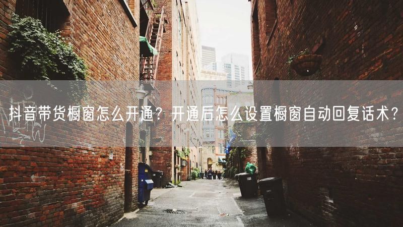 抖音带货橱窗怎么开通？开通后怎么设置橱窗自动回复话术？