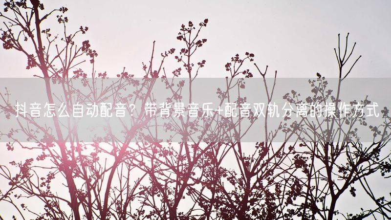 抖音怎么自动配音？带背景音乐+配音双轨分离的操作方式