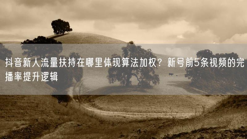 抖音新人流量扶持在哪里体现算法加权？新号前5条视频的完播率提升逻辑