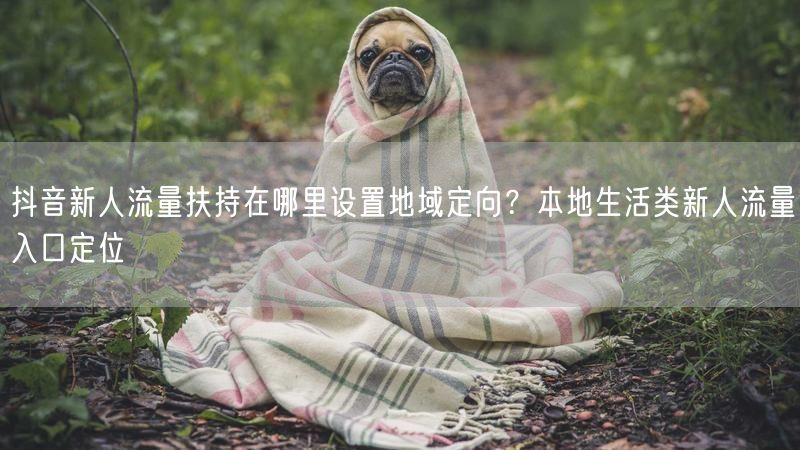 抖音新人流量扶持在哪里设置地域定向？本地生活类新人流量入口定位